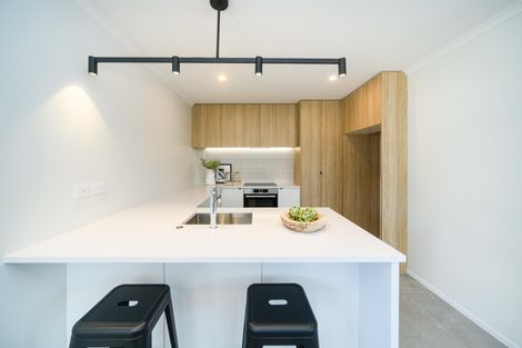 Photo of property in 469a Ruahine Street, Terrace End, Palmerston North, 4410