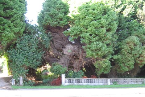 Photo of property in 5 Central Street, Putaruru, 3411