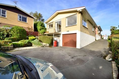 Photo of property in 17a Signal Hill Road, Opoho, Dunedin, 9010