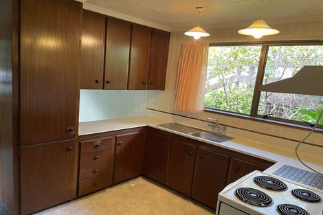 Photo of property in 1 Carlton Street, North East Valley, Dunedin, 9010