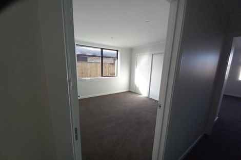 Photo of property in 53 Nursery Lane, Papamoa, 3118