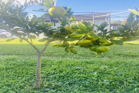 Photo of property in 24 Bruce Avenue, Glenview, Hamilton, 3206