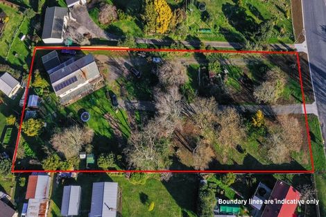 Photo of property in 63 Hall Street, Kihikihi, Te Awamutu, 3800