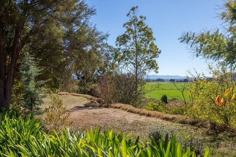 Photo of property in Gladstone Road, Gladstone, 5884