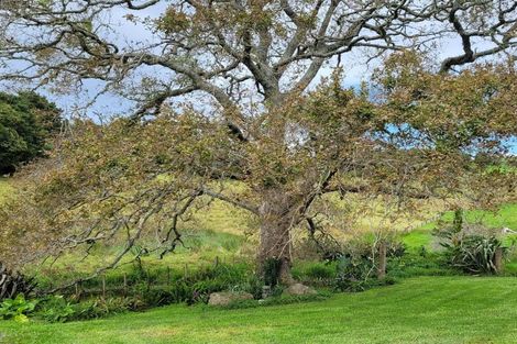 Photo of property in 114 Harris Road, Glenbervie, Whangarei, 0175