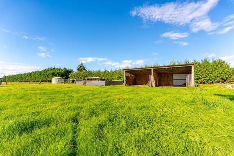 Photo of property in 22 Lynch Road, Levels, Timaru, 7973