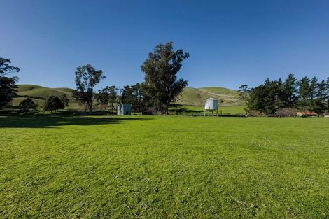 Photo of property in 453 Tetley Brook Road, Seddon, 7285