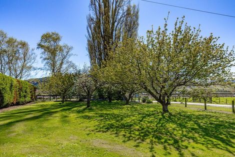 Photo of property in 189 Selmes Road, Rapaura, Blenheim, 7273