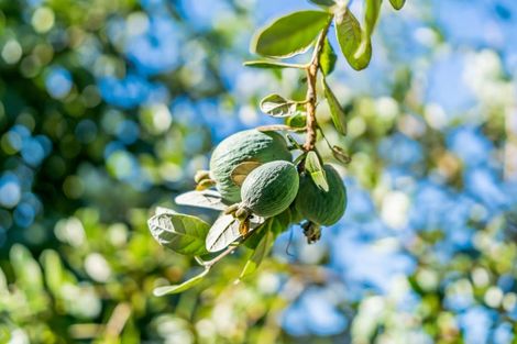 Photo of property in 30 Longfellow Street, Trentham, Upper Hutt, 5018