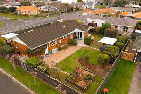 Photo of property in 107 Clarkin Road, Fairfield, Hamilton, 3214