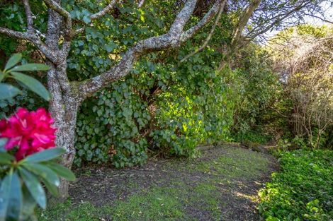 Photo of property in 7 Renall Street, Featherston, 5710