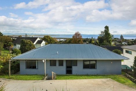 Photo of property in 107 Danby Street, Thames, 3500