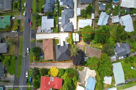 Photo of property in 28 Thomson Avenue, Dinsdale, Hamilton, 3204