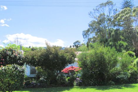 Photo of property in 393 Clifford Street, Mangapapa, Gisborne, 4010