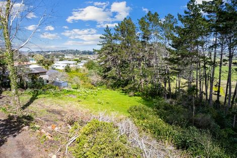 Photo of property in 5a Pirika Street, Dargaville, 0310