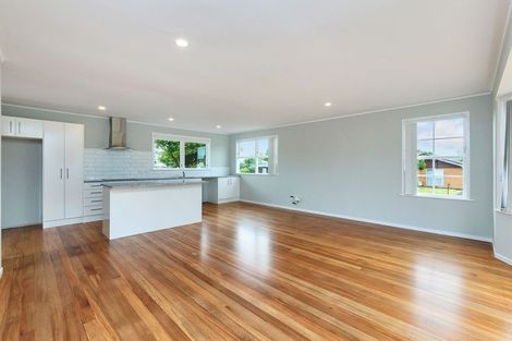 Photo of property in 25 Holland Street, Pukekohe, 2120