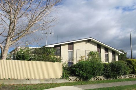 Photo of property in 49 Plunket Street, Tamatea, Napier, 4112