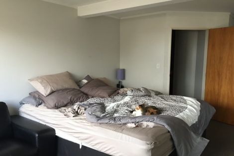 Photo of property in 49c Carey Street, Maeroa, Hamilton, 3200