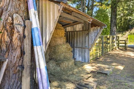 Photo of property in 44 Wairoa Gorge Road, Wairoa Valley, Brightwater, 7091