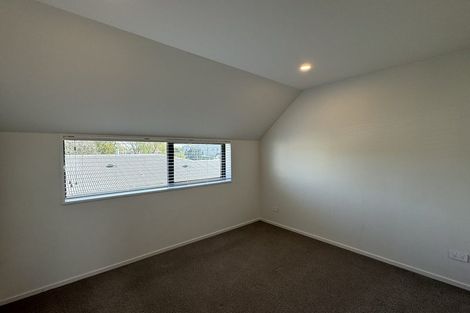 Photo of property in 2/17 Hornbrook Street, Waltham, Christchurch, 8023