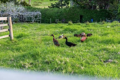 Photo of property in 259 Glenmohr Road, Waipu, 0582