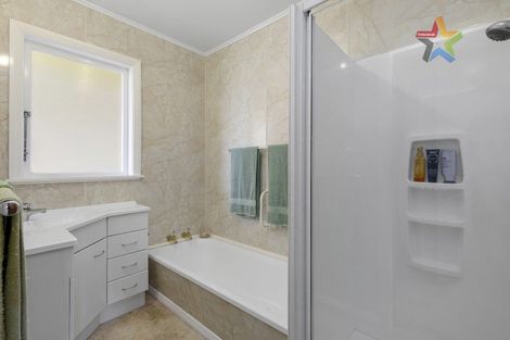 Photo of property in 72 Tiro Tiro Road, Levin, 5510