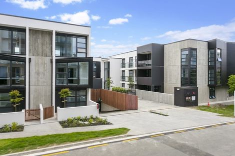 Photo of property in 609/8 Kingsland Terrace, Kingsland, Auckland, 1021