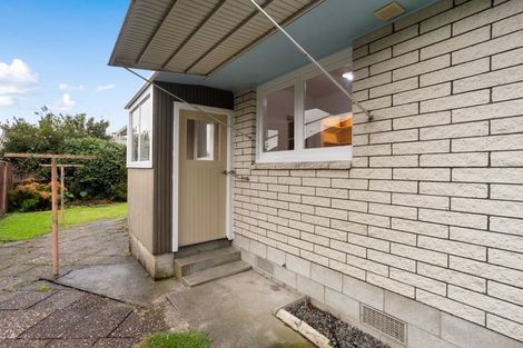 Photo of property in 163 Clarkin Road, Fairfield, Hamilton, 3214