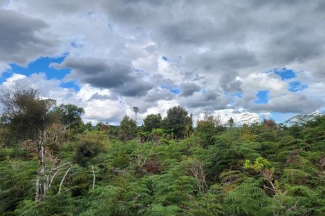 Photo of property in 240 Maori Creek Road, Marsden, Greymouth, 7872