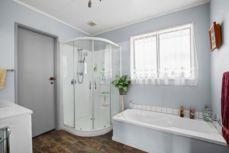 Photo of property in 66 Bringans Street, Alexandra, 9320