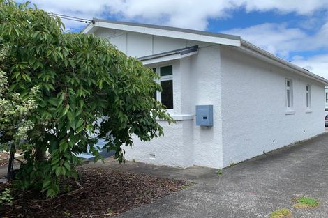 Photo of property in 256 Meola Road, Point Chevalier, Auckland, 1022