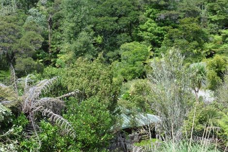 Photo of property in 23 Wilding Avenue, Northcote Point, Auckland, 0627