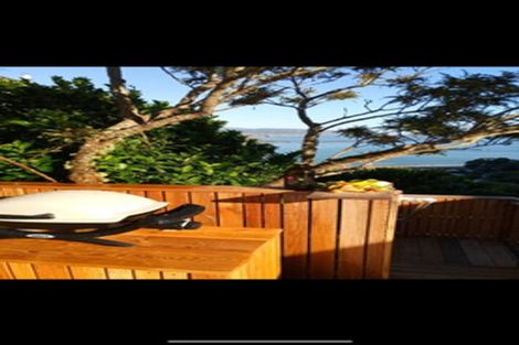 Photo of property in 49 Hornsey Road, Melrose, Wellington, 6023