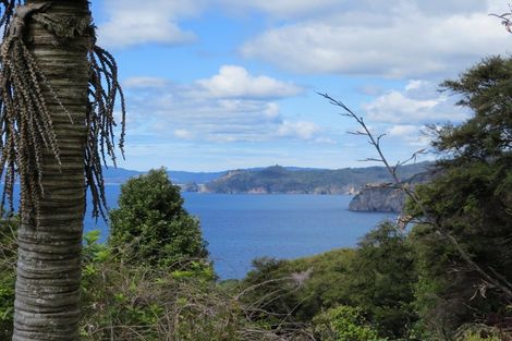 Photo of property in 496 Tuateawa Road, Tuateawa, Coromandel, 3583