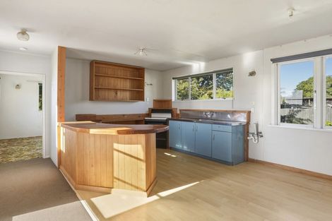 Photo of property in 83 Duncan Road, Hampden, 9410