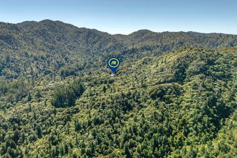 Photo of property in 820 The 309 Road, Waiau, Coromandel, 3581