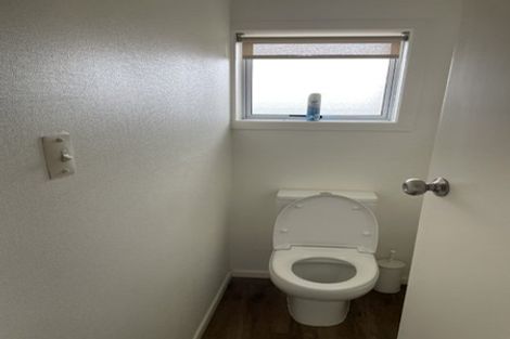 Photo of property in 151 Hukanui Road, Chartwell, Hamilton, 3210