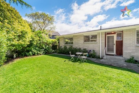 Photo of property in 8a Copeland Street, Hutt Central, Lower Hutt, 5011