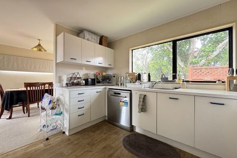 Photo of property in 40b Ashton Fitchett Drive, Brooklyn, Wellington, 6021