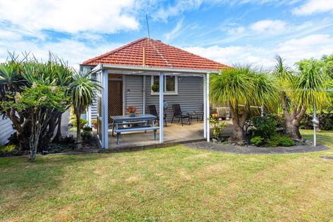 Photo of property in 16 Alamein Terrace, Mount Albert, Auckland, 1025