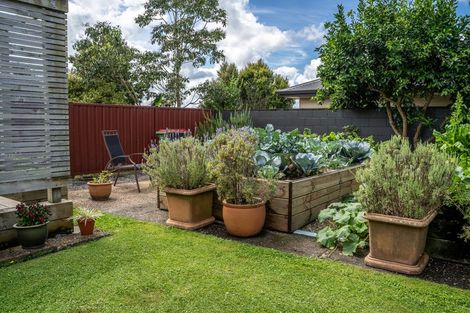 Photo of property in 17 Johnsview Terrace, Hillcrest, Hamilton, 3216