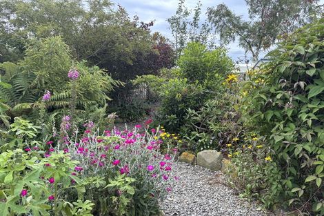 Photo of property in 16 Fell Street, Waikouaiti, 9510