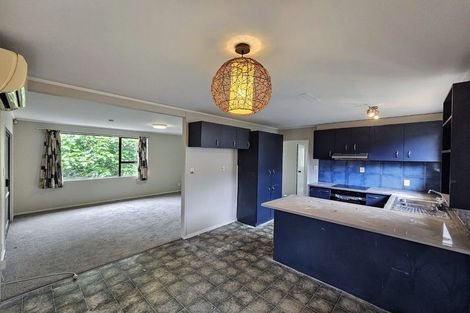 Photo of property in 1/151 Te Irirangi Drive, Flat Bush, Auckland, 2019