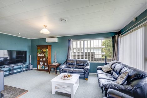 Photo of property in 74 Leicester Avenue, Tamatea, Napier, 4112