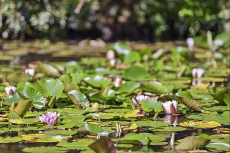 Photo of property in 586 Tapu Coroglen Road, Coromandel Forest Park, Thames, 3575