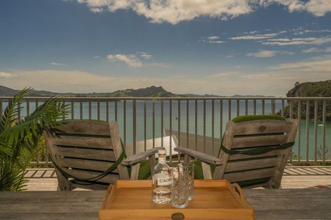 Photo of property in 1065b Purangi Road, Ferry Landing, Whitianga, 3591