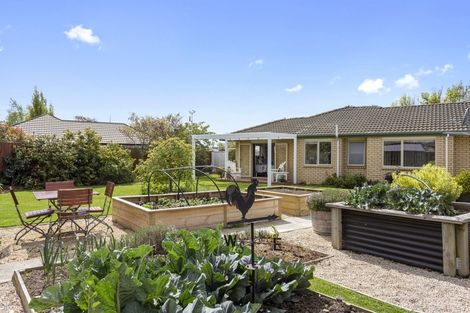 Photo of property in 60 Rowse Street, Rangiora, 7400