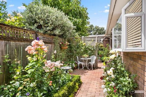 Photo of property in 1a Thornycroft Avenue, Epuni, Lower Hutt, 5011