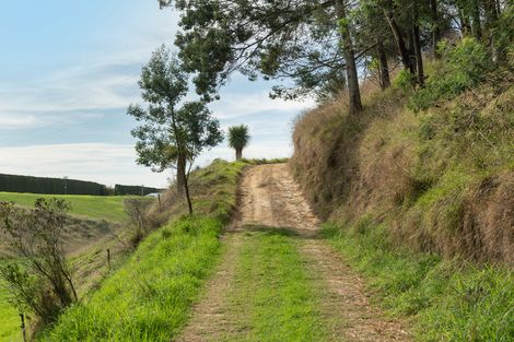 Photo of property in 357 Maungarangi Road, Paengaroa, Te Puke, 3189