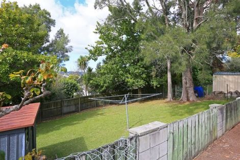 Photo of property in 29 Eyre Street, Henderson, Auckland, 0612